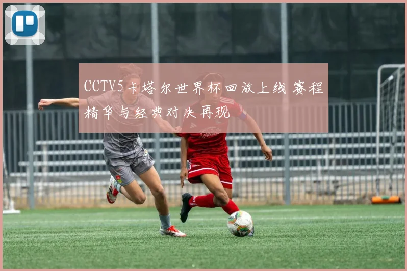 CCTV5卡塔尔世界杯回放上线 赛程精华与经典对决再现