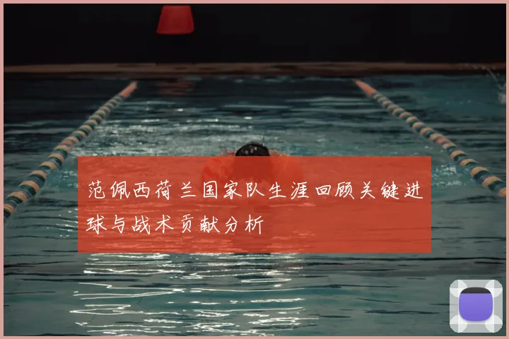 范佩西荷兰国家队生涯回顾关键进球与战术贡献分析