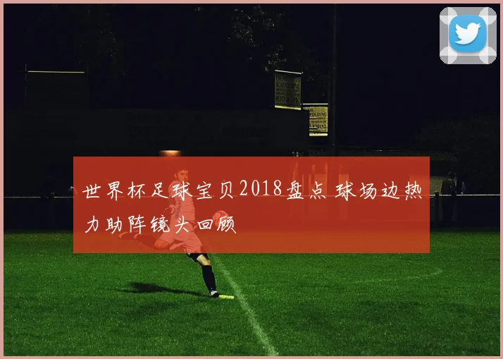 世界杯足球宝贝2018盘点 球场边热力助阵镜头回顾