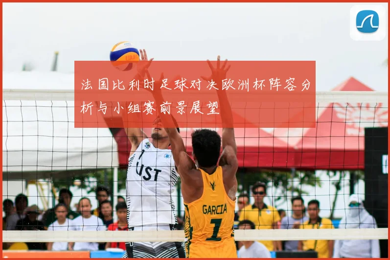 法国比利时足球对决欧洲杯阵容分析与小组赛前景展望