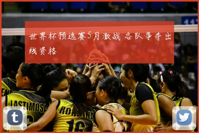 世界杯预选赛5月激战 各队争夺出线资格
