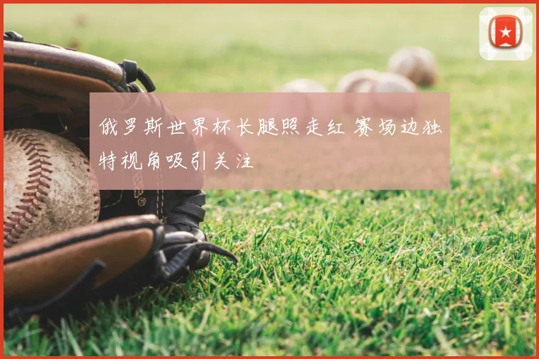 俄罗斯世界杯长腿照走红 赛场边独特视角吸引关注