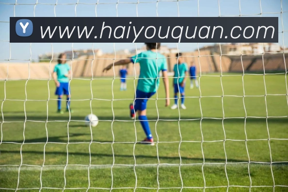 数据防护可视化